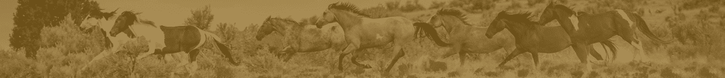equine header